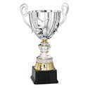 Coupe 6026 - 31 cm