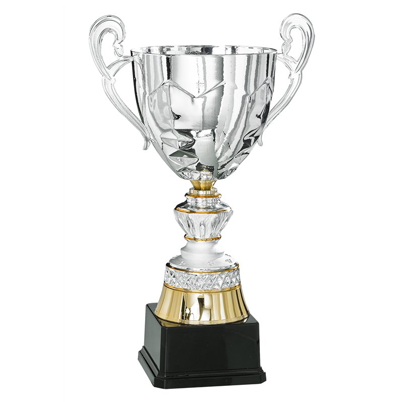 Coupe 6026 - 31 cm