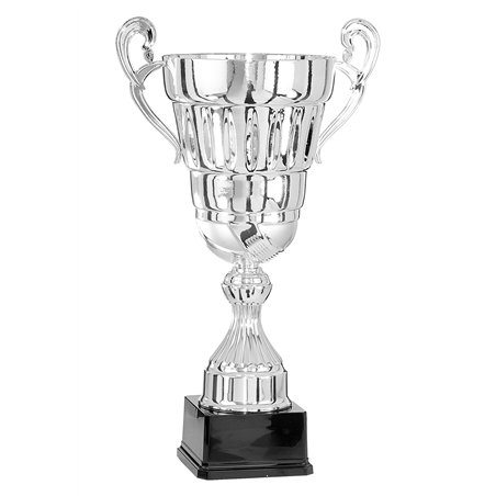 Coupe 6701 - 36 cm
