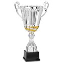 Coupe 6203 - 45 cm