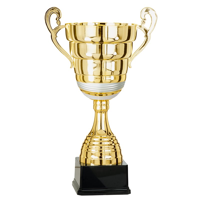 Coupe 6672 - 42 cm