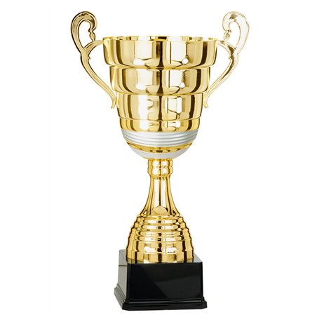 Coupe 6673 - 45 cm