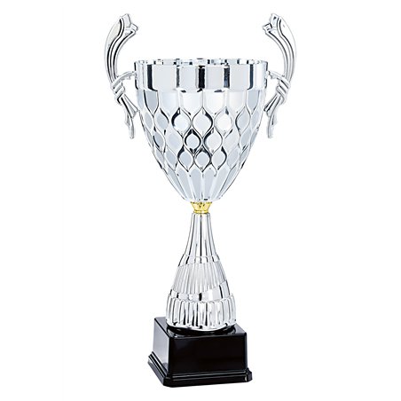 Coupe 6684 - 50 cm