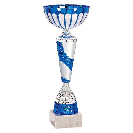 Coupe 3253 - 31 cm