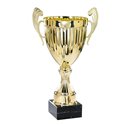 Coupe 6132 - 31 cm
