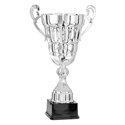 Coupe 6702 - 41 cm