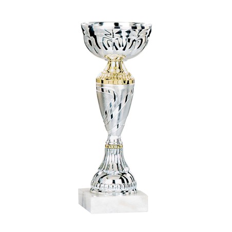 COUPE P.14 17CM 2026