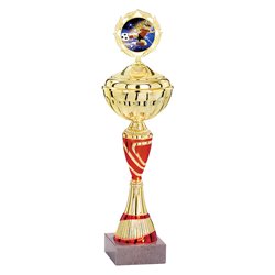 Coupe Personnalisée Économique : 1621W-C