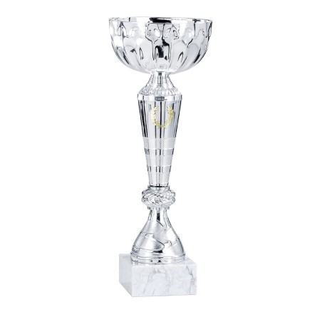 COUPE P.15 19CM 2026