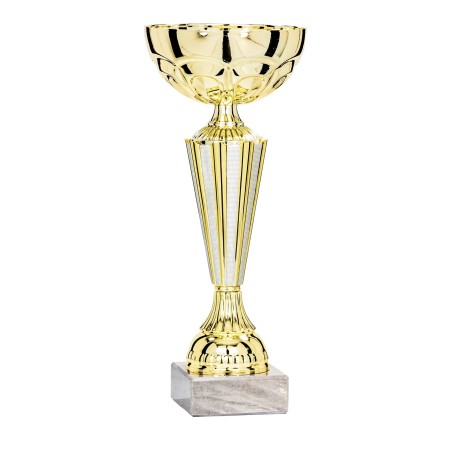 COUPE P.15 19CM 2026