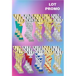 Lot de 30 Coupes : 2025-8