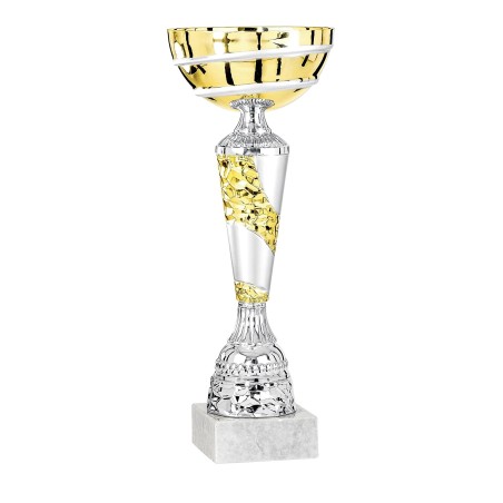 COUPE P.16 31CM 2026