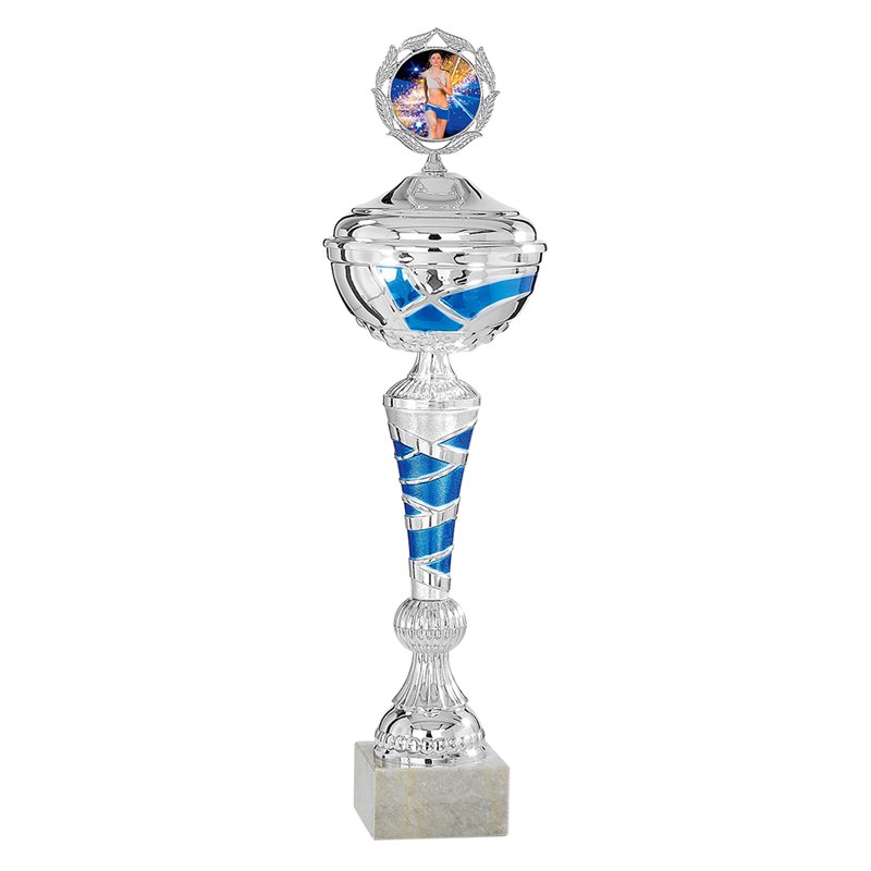 Coupe Personnalisée Métal : 1971W-C