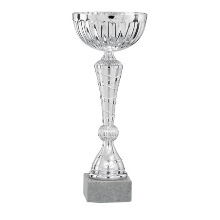 COUPE P.17 25CM 2026