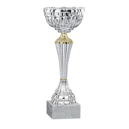 COUPE P.18 20CM 2026