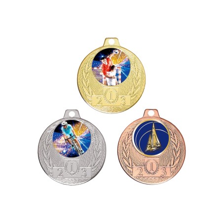 MED.45MM P.213 PAR 25 ARGENT L