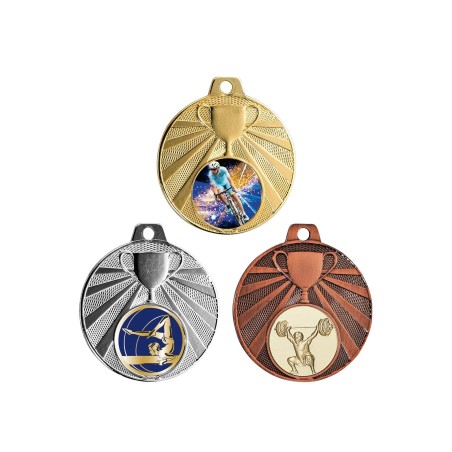 MED.50MM P.213 PROMO PAR 25 ARGENT L