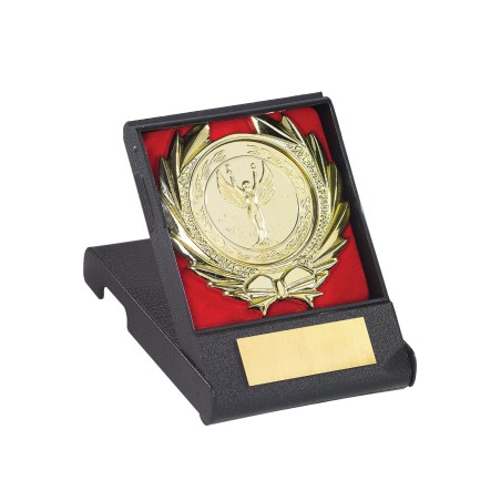 Plaques de distinction avec écrin