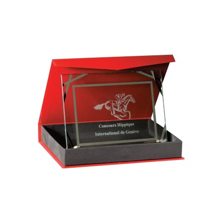 Plaques de distinction avec écrin