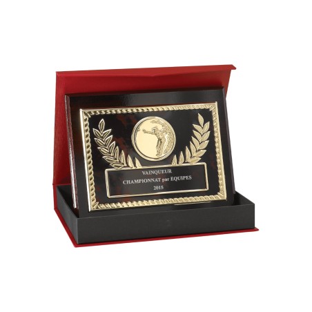 Plaques de distinction avec écrin
