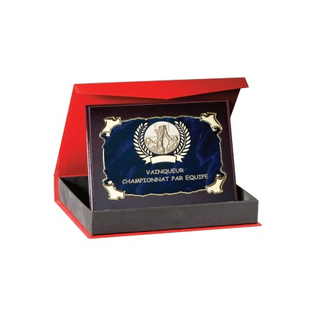 Plaques de distinction avec écrin