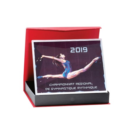 TROPHEE P.189 22X18CM. SANS GRAVURE