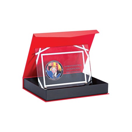 TROPHEE P.189 22X18CM. SANS GRAVURE