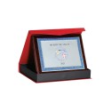 Plaques de distinction avec écrin