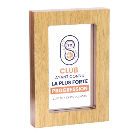 TR.BOIS ET ACRYGLASS P.150  25x17 cm AVEC MARQUAGE COULEUR