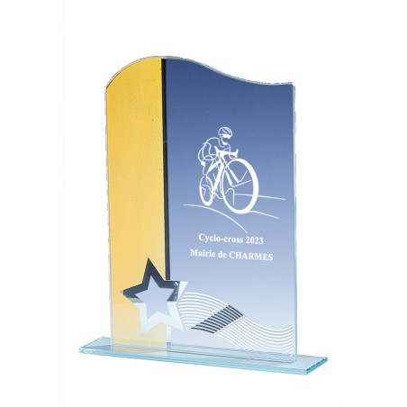 TR.VERRE P.161 19CM  SANS GRAVURE OR