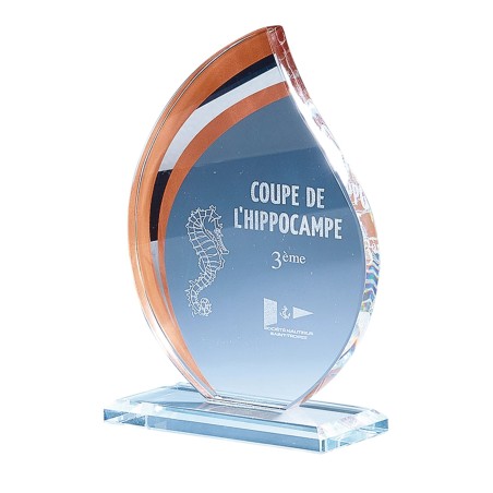 TR.VERRE P.170 19CM  SANS GRAVURE CUIVRE