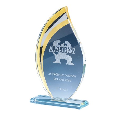 TR.VERRE P.170 23CM  SANS GRAVURE OR