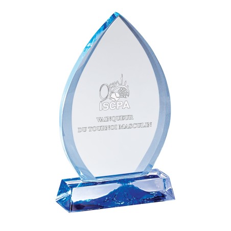 TR.TRANSP.P173 26CM  SANS GRAVURE