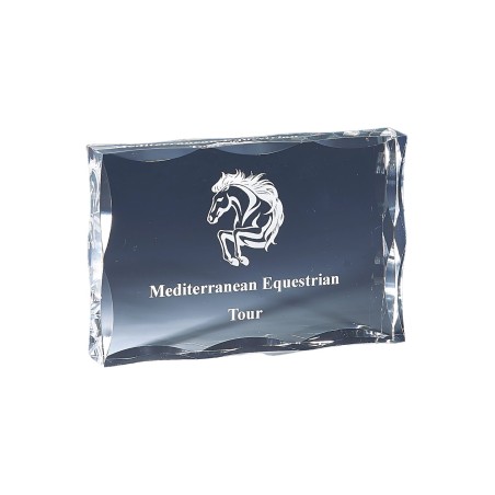 TR.TRANSP.P177 10X13  SANS GRAVURE