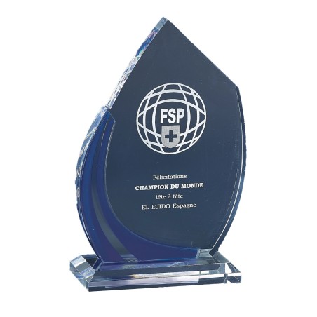 TR.TRANSP.P179 20CM  SANS GRAVURE