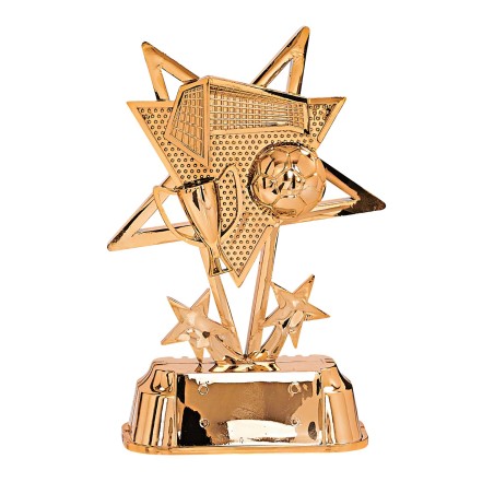 TROPH.FOOT B P.82 20CM CUIVRE