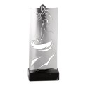 TROPH.METAL COURSE F 30 CM P117