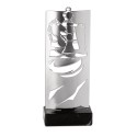 TROPH.METAL ECHECS 30 CM P118