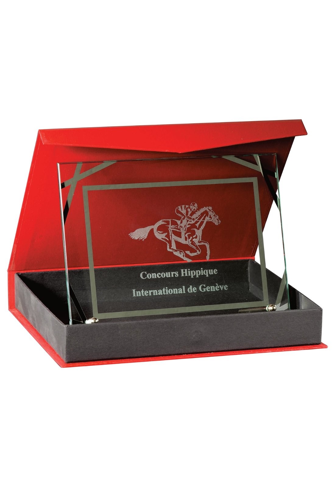 Plaques de distinction